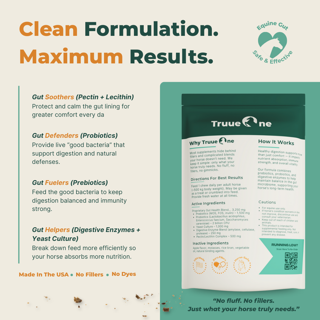 Gut Health+ Soft Chews For Horses