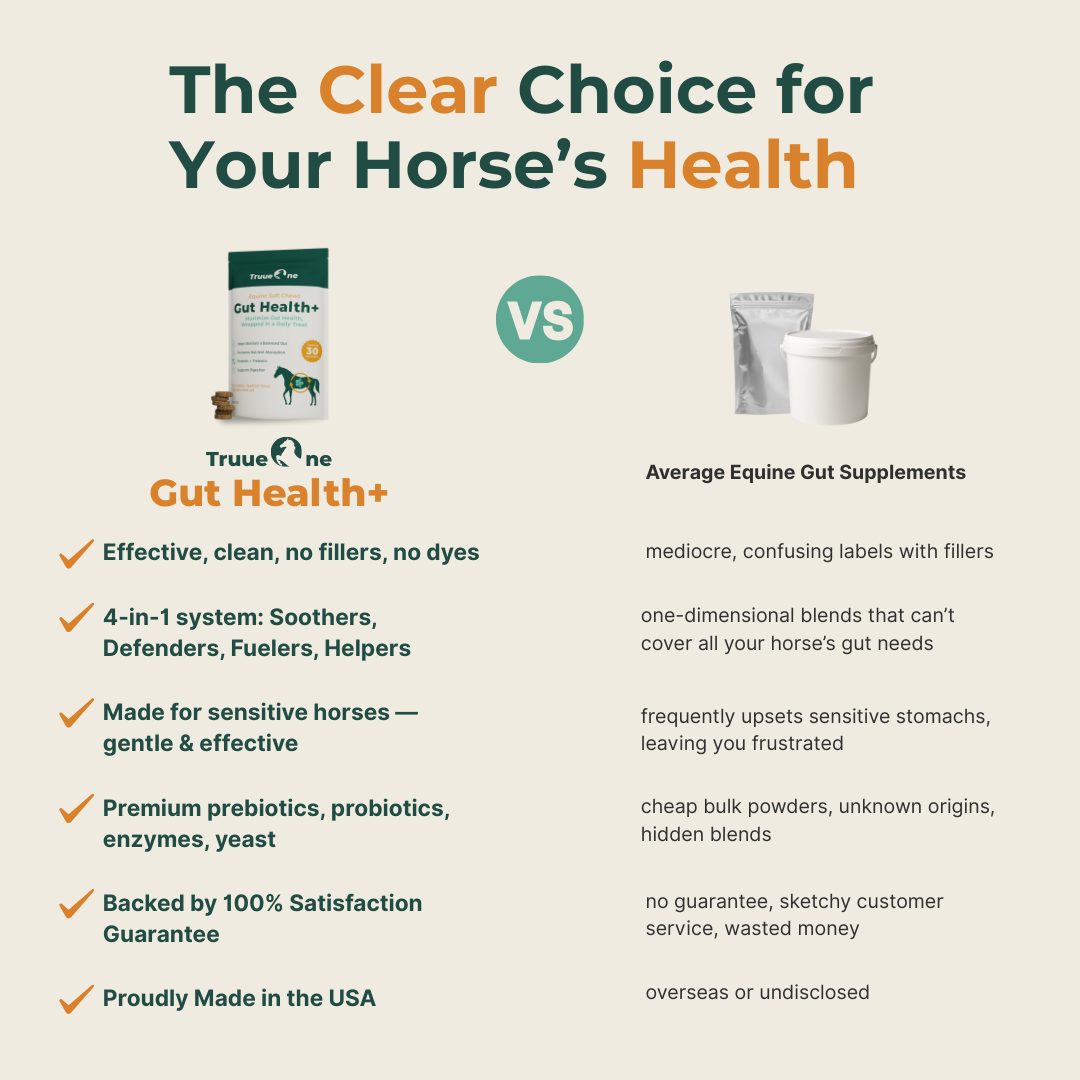 Gut Health+ Soft Chews For Horses