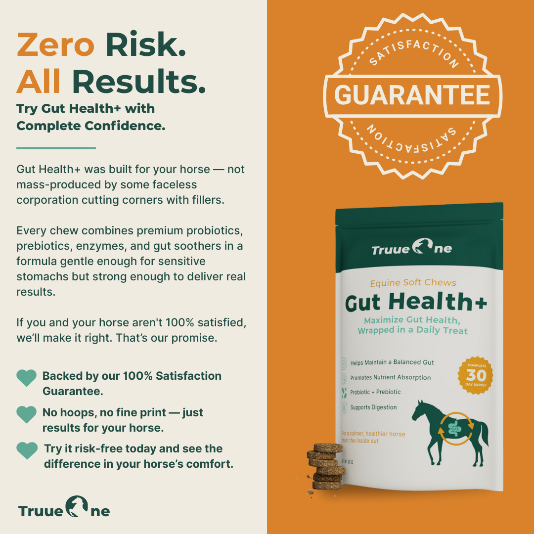 Gut Health+ Soft Chews For Horses