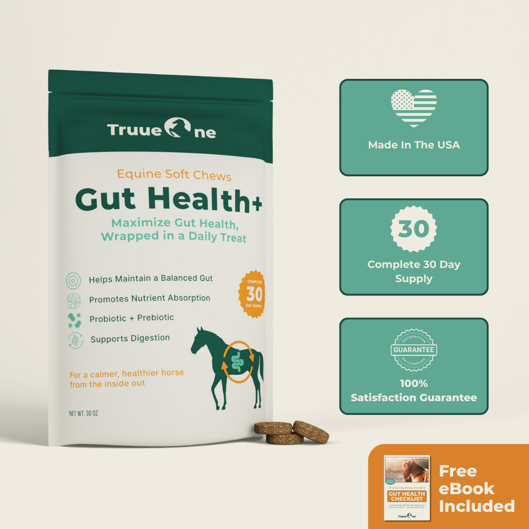 Gut Health+ Soft Chews For Horses